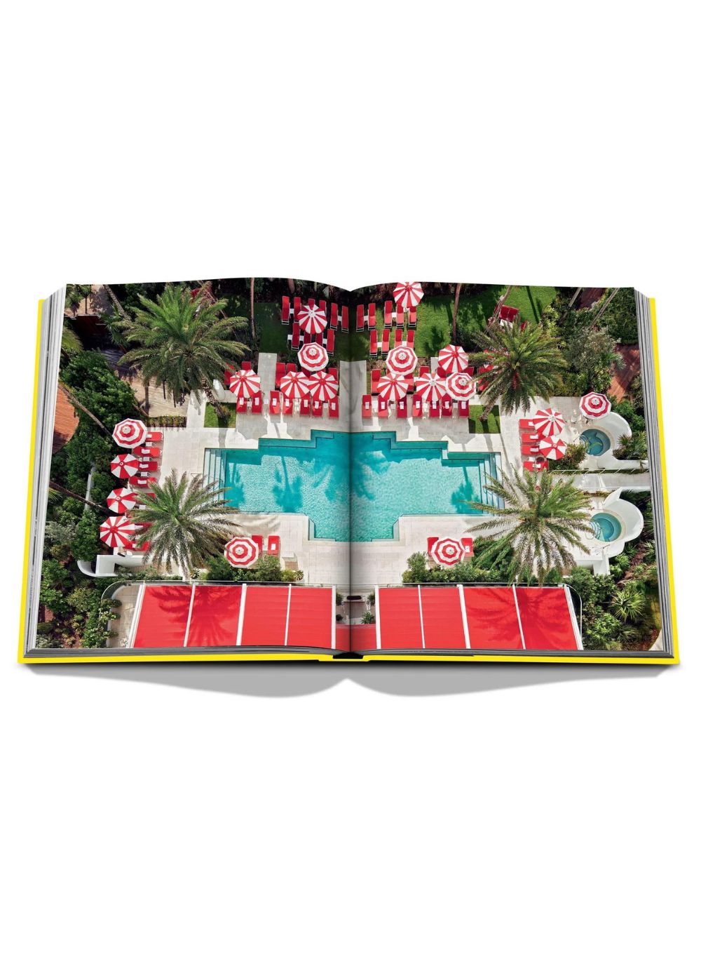 Palm Beach [Book]